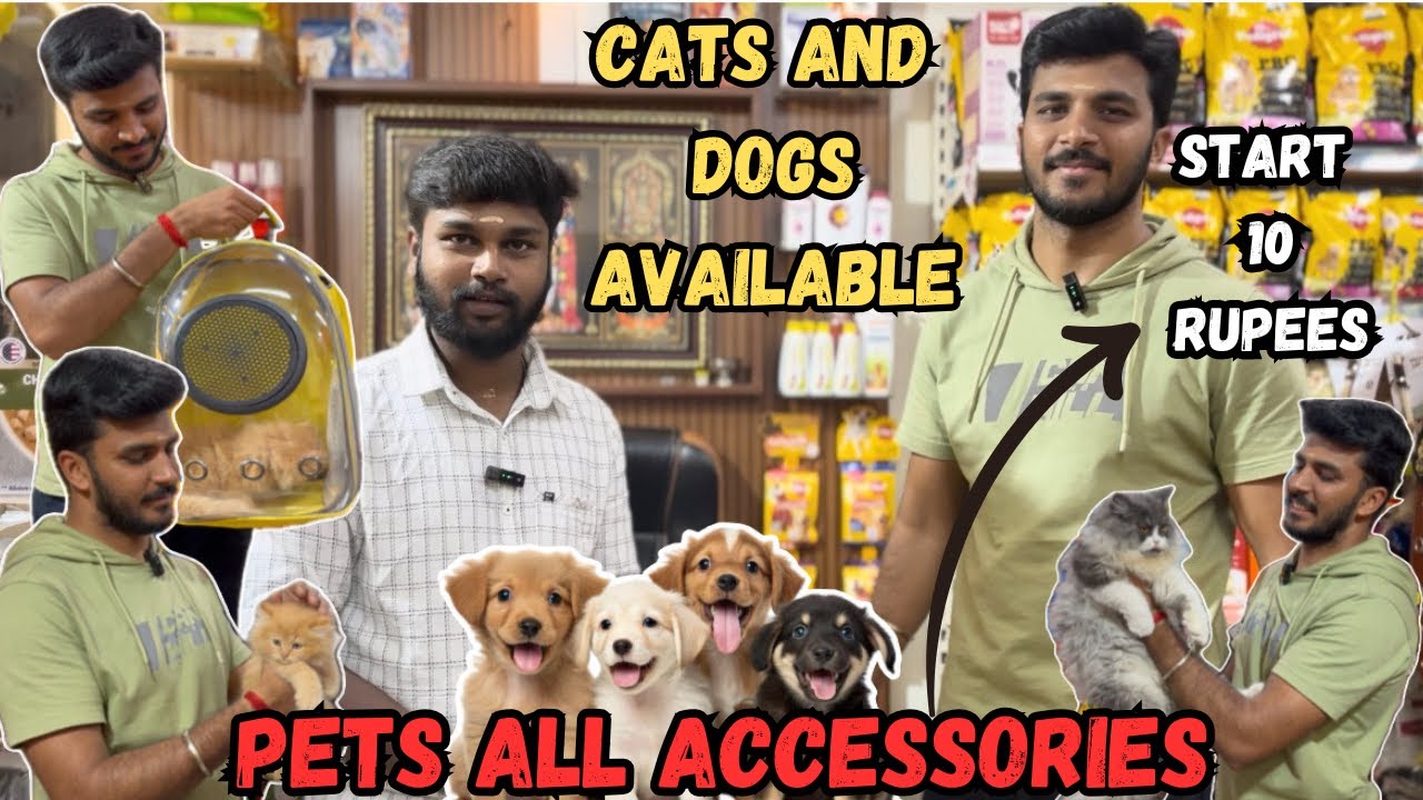 ரூ 10 முதல் cheapest pets shop in Coimbatore |dog and cat available |all accessories available |pets