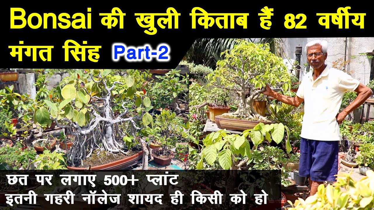 Part-2 | 82 वर्षीय Nature Lover ने घर में बसाई बोनसाई की दुनिया, तैयार किए 500+ Tree |Unique Farming