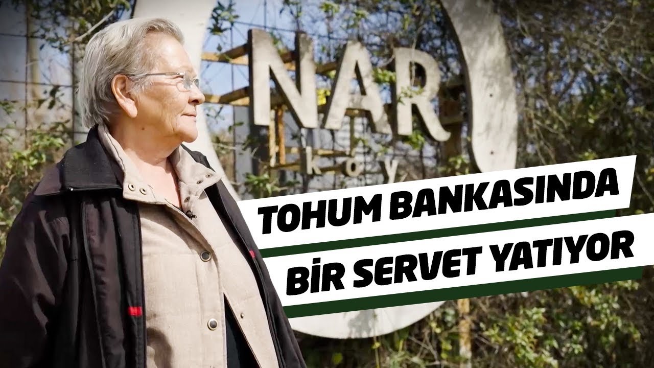 Gelecek Nesiller için Tohum Biriktiriyor
