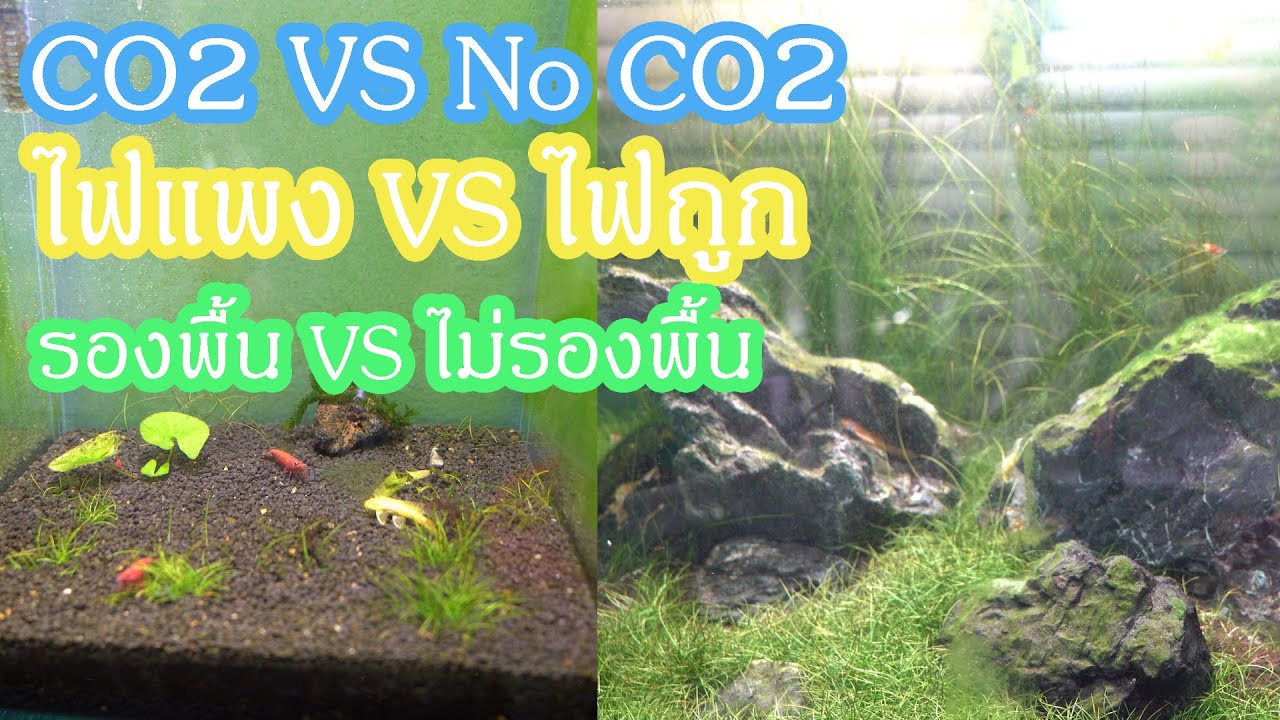 CO2 VS No CO2 ไฟแพง ปะทะ ไฟถูก รองพื้นตู้ สู้กับ ไม่รองพื้น