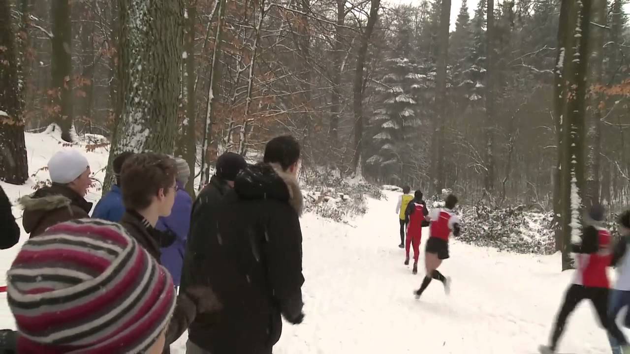 100111Bergedorf Lokalsport Sensationelles Comeback Steffen Benecke gewinnt Crosslauf HD