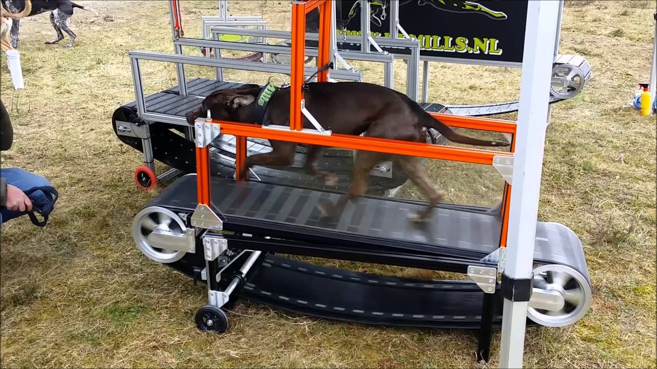 Workshop HF treadmill
