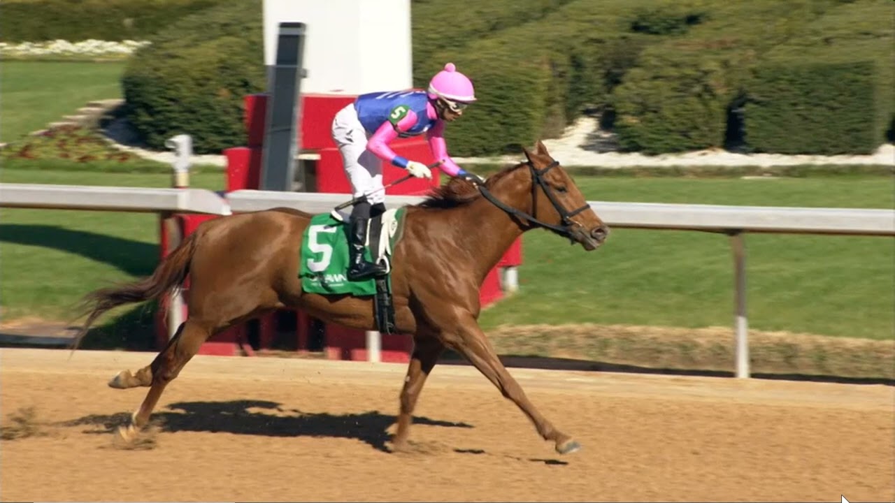 R5  Oaklawn Park 16 Feb 2026
