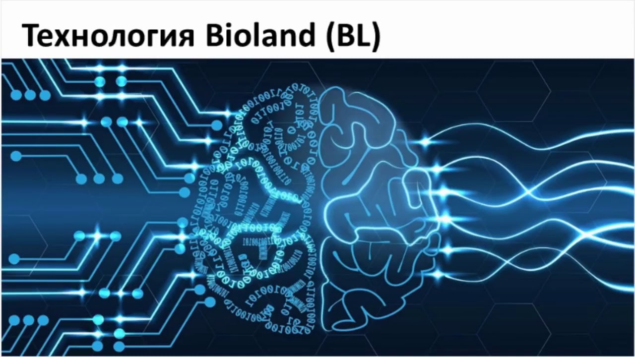 ZENWAVE &ndash; меняющий жизнь