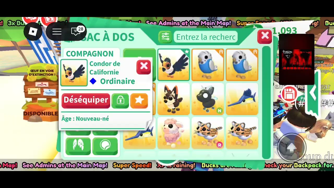 Admin abuse sur adopte me (on m'entend pas trop déso)