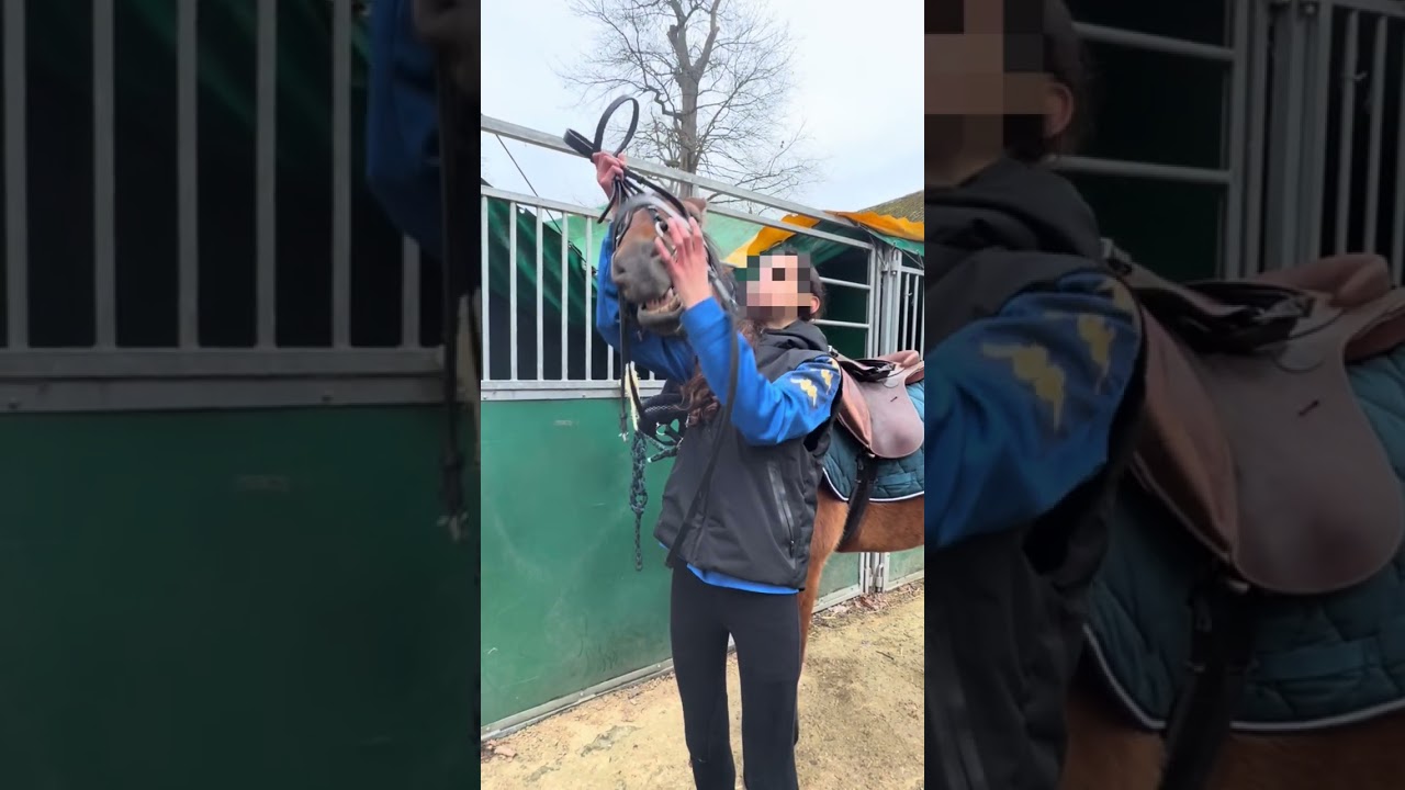 Un samedi avec moi et ma ponette 