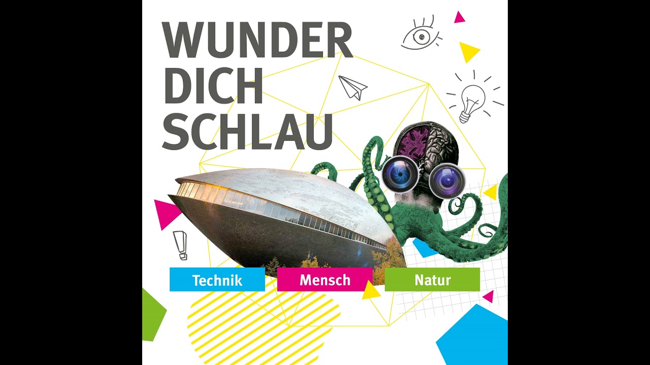#61: Wie macht die Sonne eigentlich Strom?