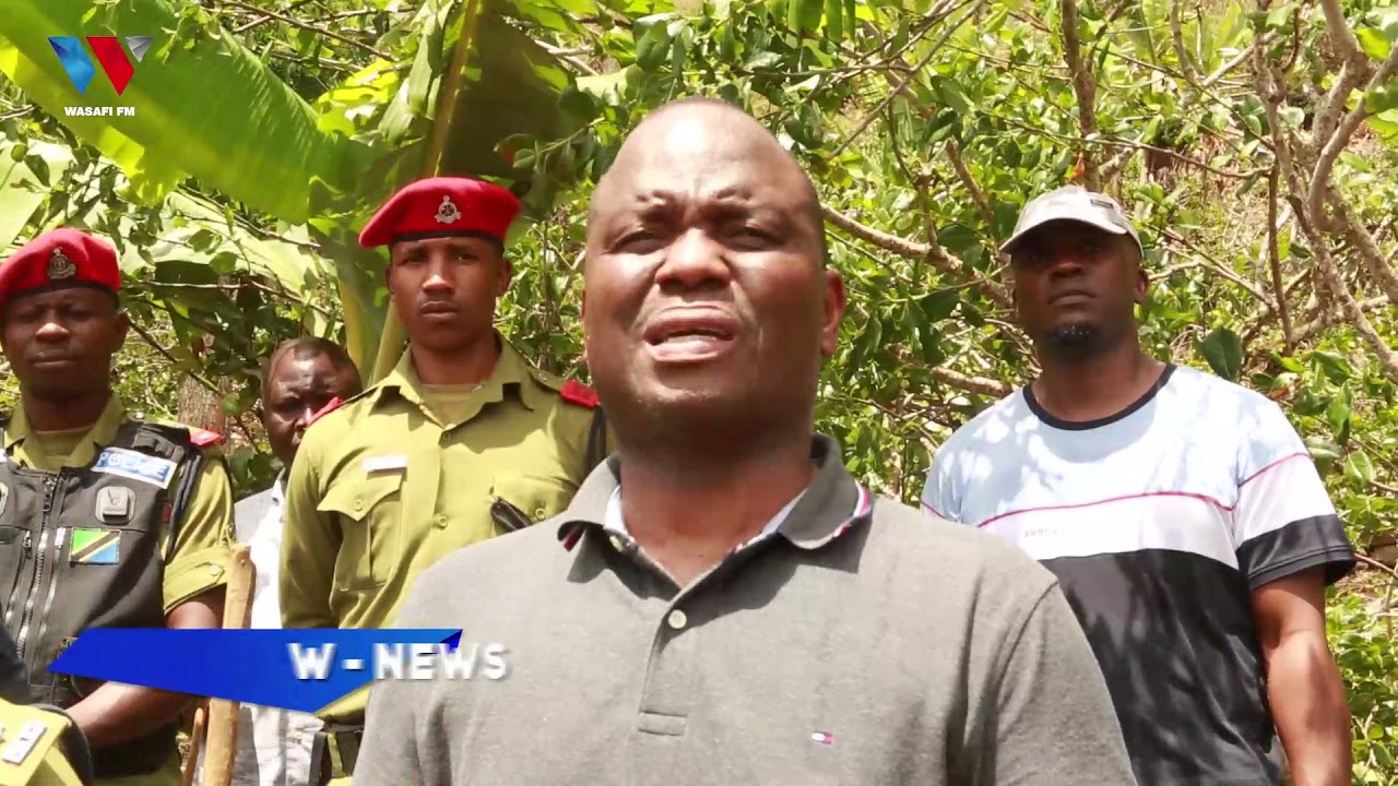 TAZAMA SHAMBA LA MIRUNGI LIKITEKETEZWA NA KAMISHNA WA DCEA  - KILIMANJARO