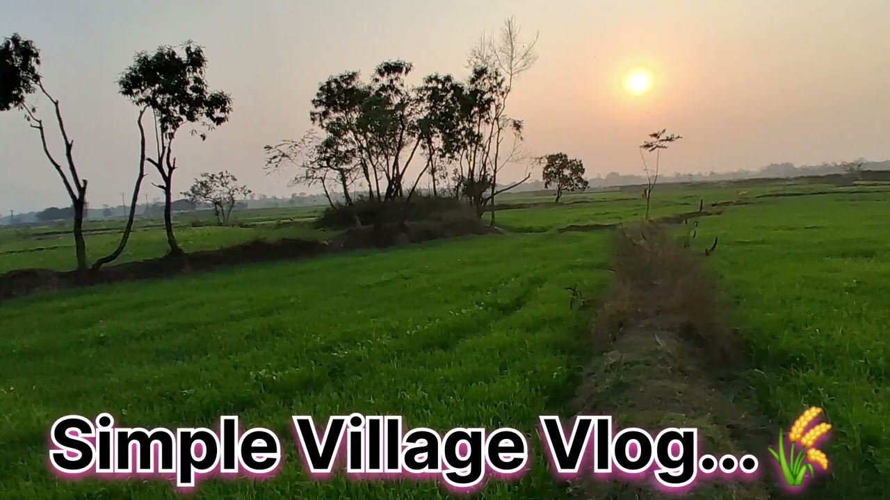 गाँव की सुकून भरी शाम 🌾 | मिट्टी की खुशबू 🤎