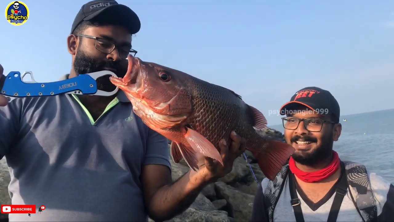 13g live chemmeen ൽ ഒരു അടിപൊളി ചെമ്പല്ലി പിടുത്തം || mangrove Jack Kerala fishing (psycho angler)