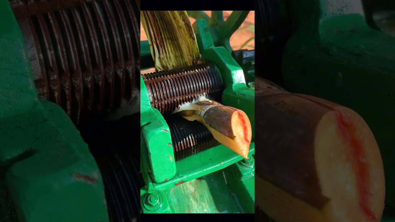 😳 How To Make Sugar cane juice #shorts #shortsfeed #juice #sugarcane #juice #trending #viral #nice