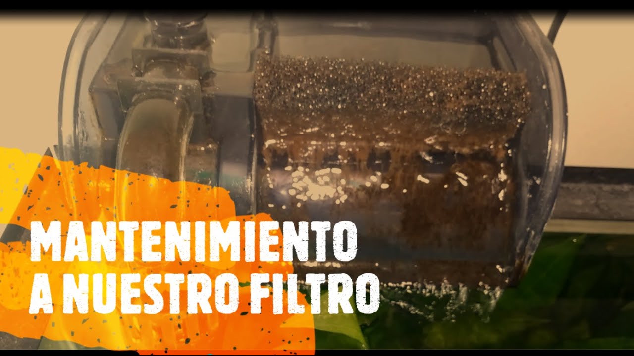 COMO LIMPIAR UN FILTRO DE CASCADA O DE MOCHILA SUNNY