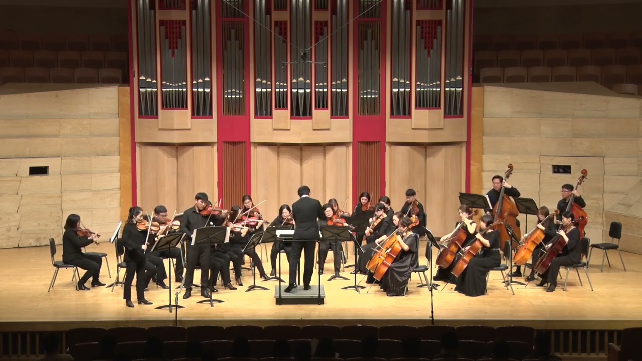 [Bach] Concerto for 2 Violins in d III