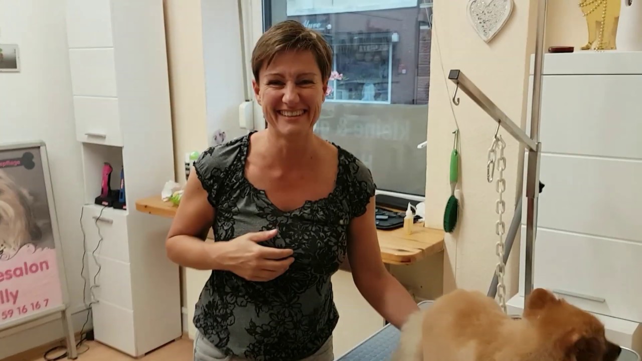 Ausbildung zum Hundefriseur Köln Hundesalon Lilly Ausbildung zum prof.  Groomer in Köln