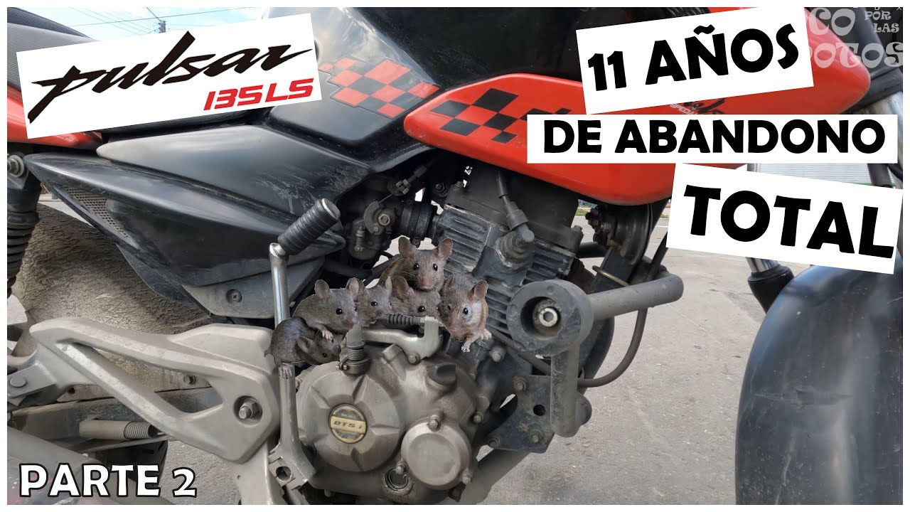 Que pasó con la MOTO ABANDONADA? | Restauración Pulsar 135LS Pt2 | @Loco por las motos