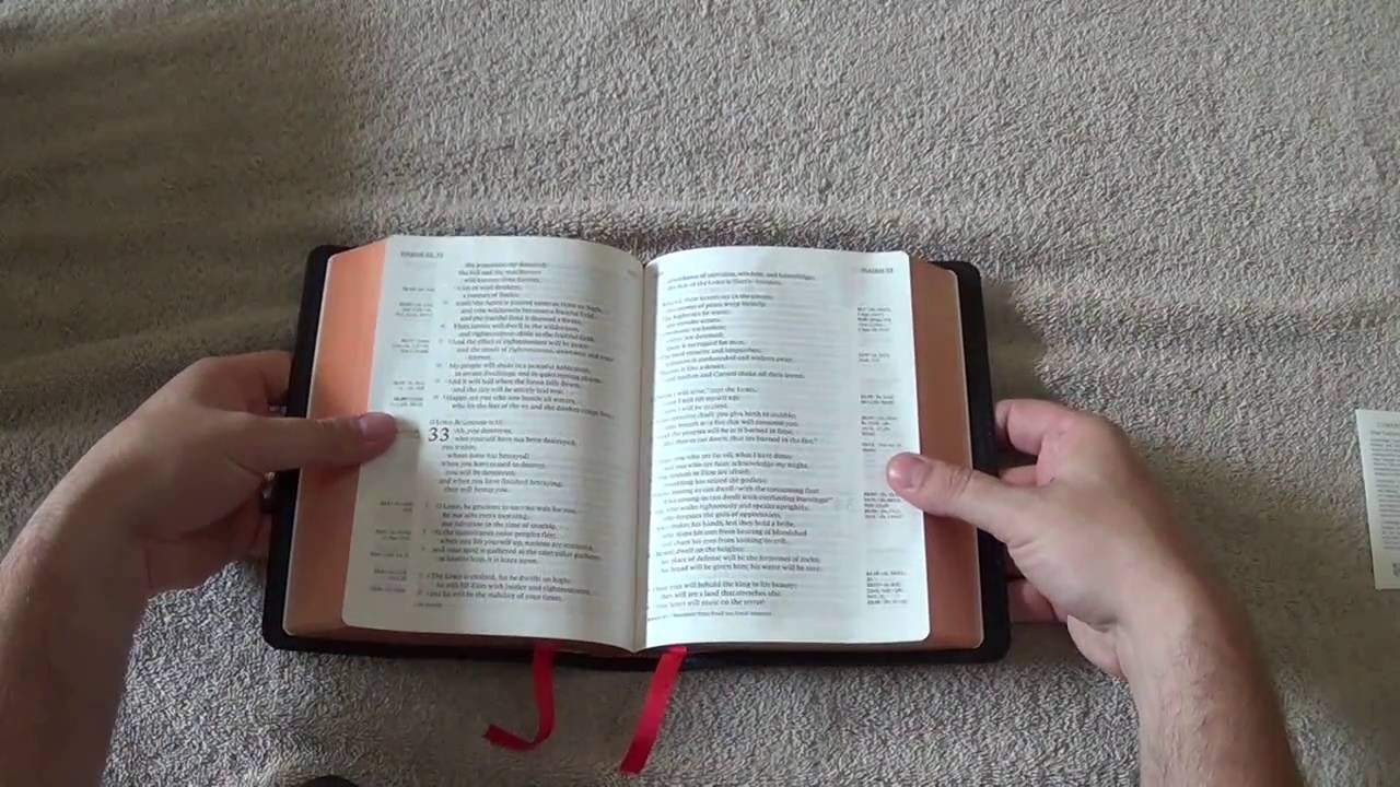 Cambridge ESV Clarion Black Goatskin Review & Ranking (28)
