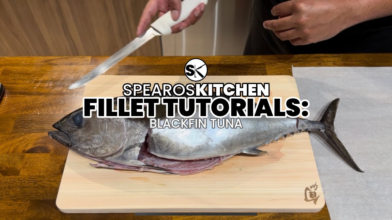 How To Fillet & Break Down A BLACKFIN TUNA