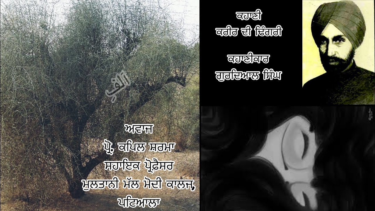 ਕਰੀਰ ਦੀ ਢਿੰਗਰੀ । ਗੁਰਦਿਆਲ ਸਿੰਘ । Kareer Di Dhingri | Gurdial Singh । prof. kapil Sharma | Aalif1699