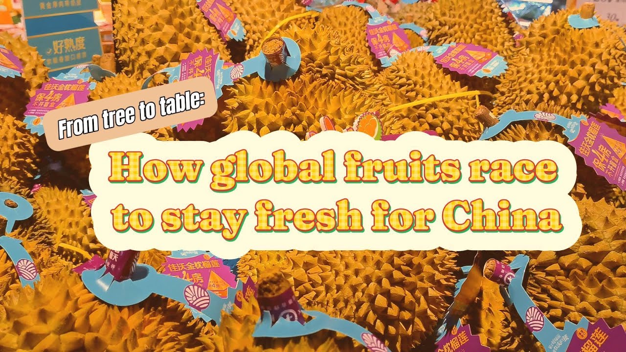 From tree to table: How global fruits race to stay fresh for China