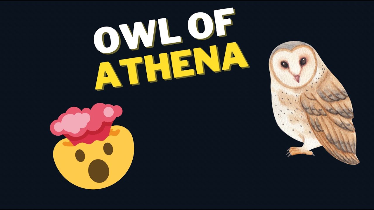 The Ancient Meaning of Athena's Owl #history #symbols
