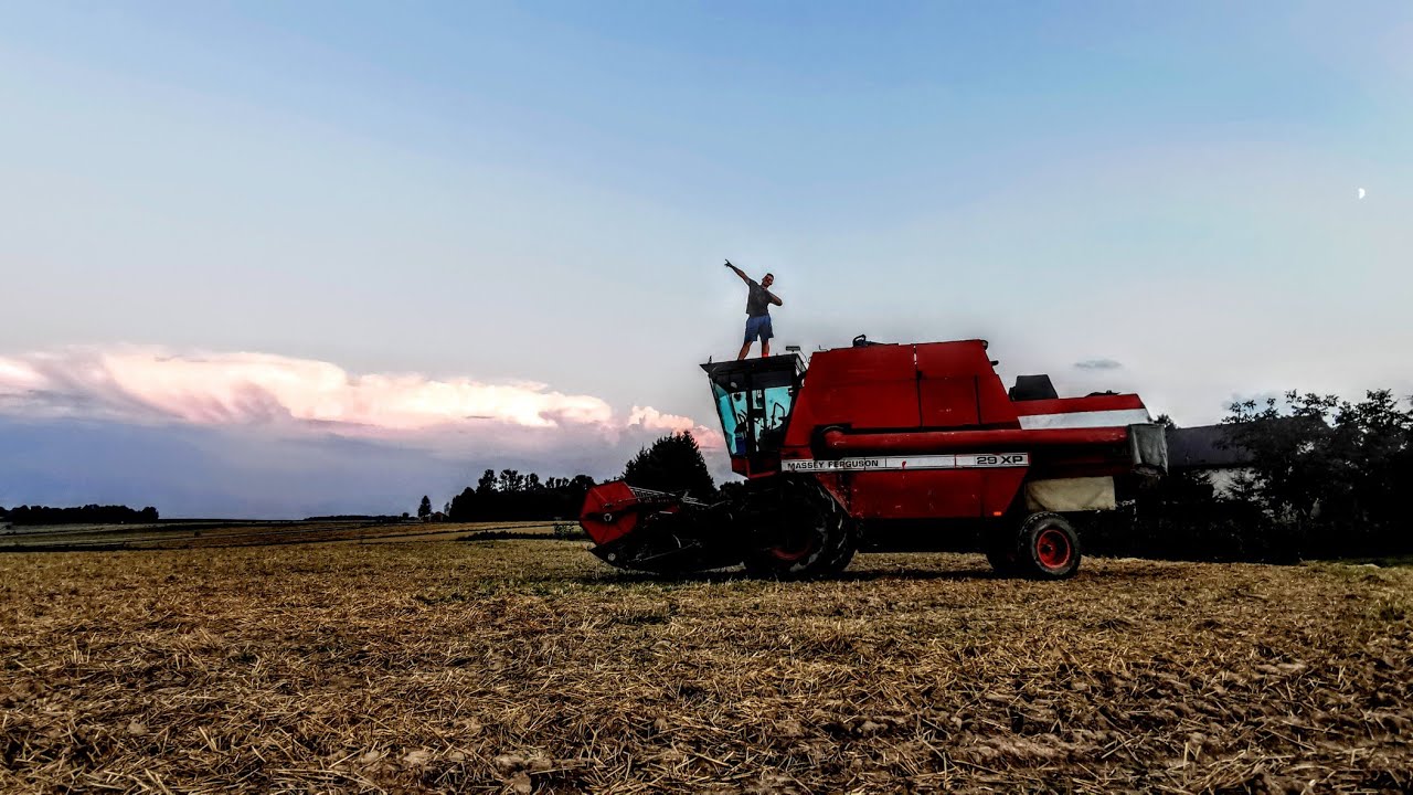 Pszenica ozima Euforia ||Massey Ferguson 29XP ||