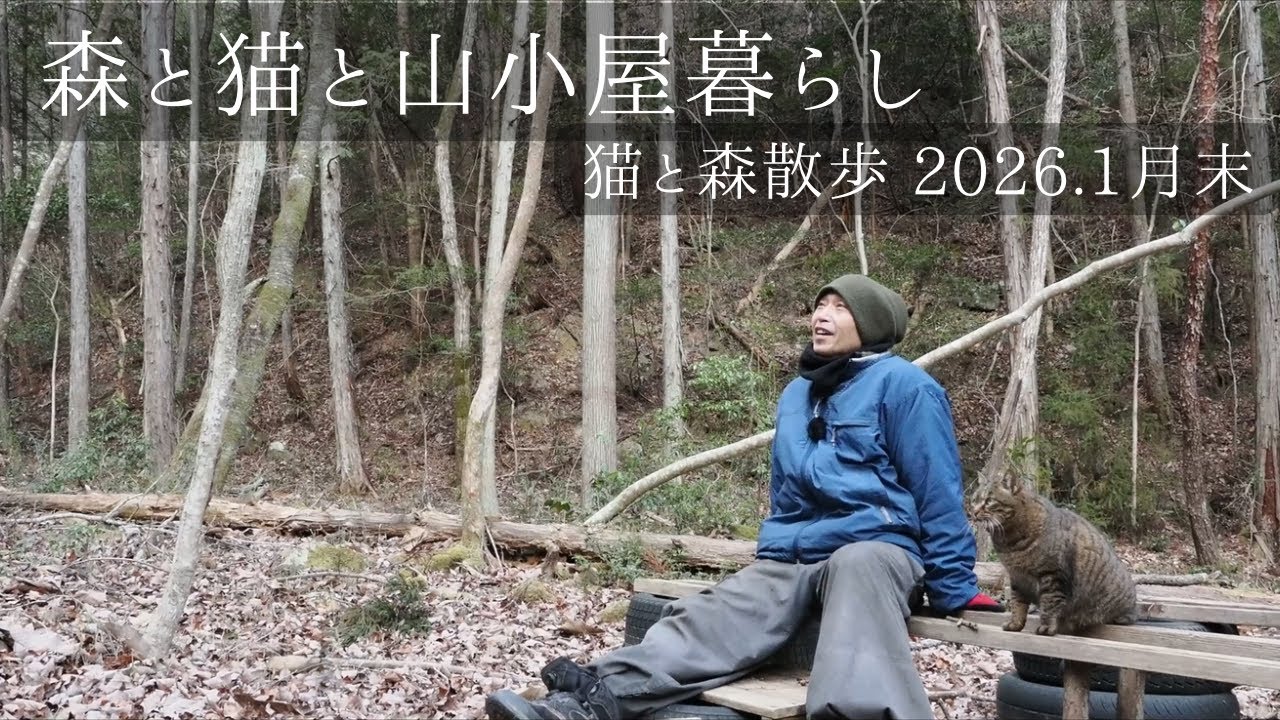 猫と森散歩　2026.1月末 森と猫と山小屋暮らし