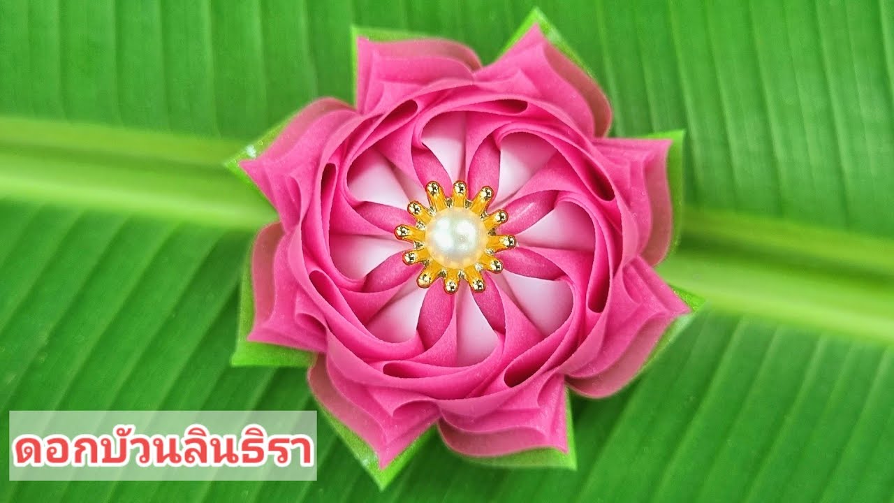 โปรยทานดอกบัวนลินธิรา(ต้นฉบับ)