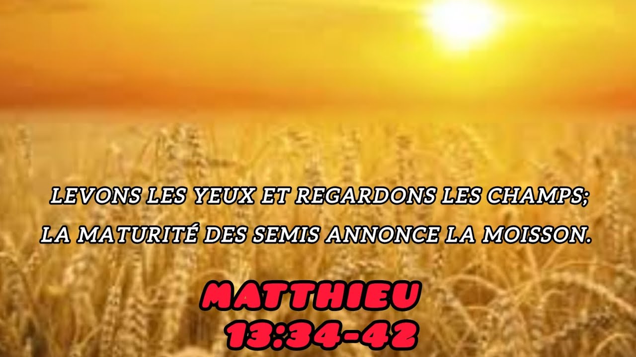 Levons les yeux et regardons les champs ; la maturité des semis annonce la moisson.
