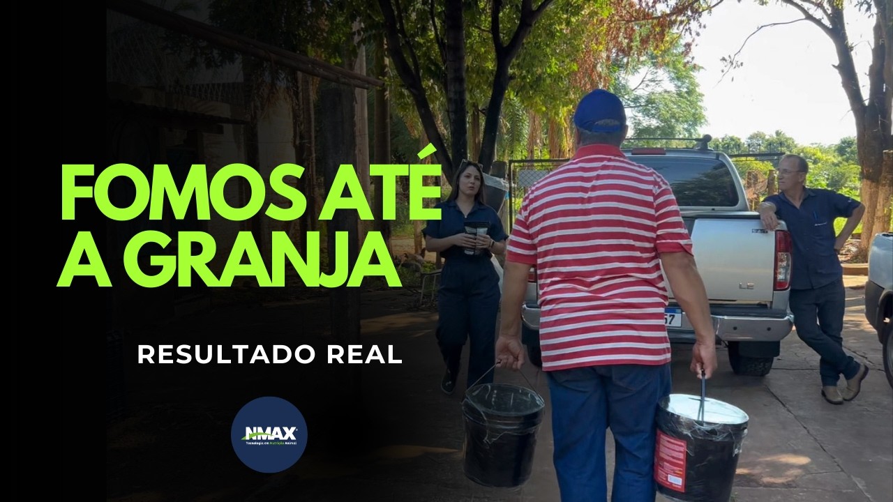 🔥MANEJO, SISTEMA E RESULTADOS - VISITA A GRANJA SÃO JUDAS.