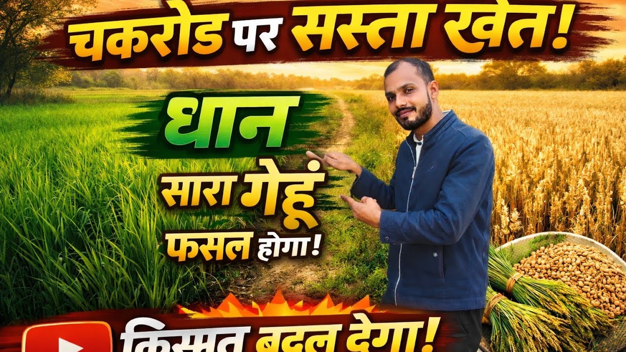 👉 चकरोड पर सस्ता खेत 😱 | धान 🌾 गेहूं 🌾 सब फसल होगी | खेती से कमाई #property #खेती 