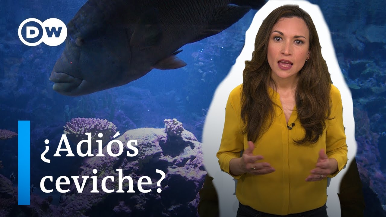 Las emisiones de carbono acidifican los océanos