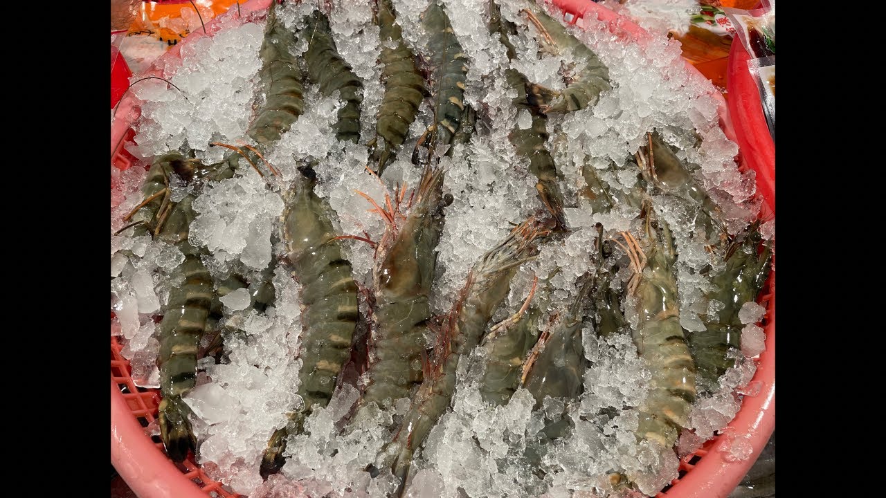 0127 週二彰化社頭夜市開播！#嘉義趙又廷 #全晟海產 #週二彰化社頭夜市 #海鮮拍賣 #海鮮叫賣