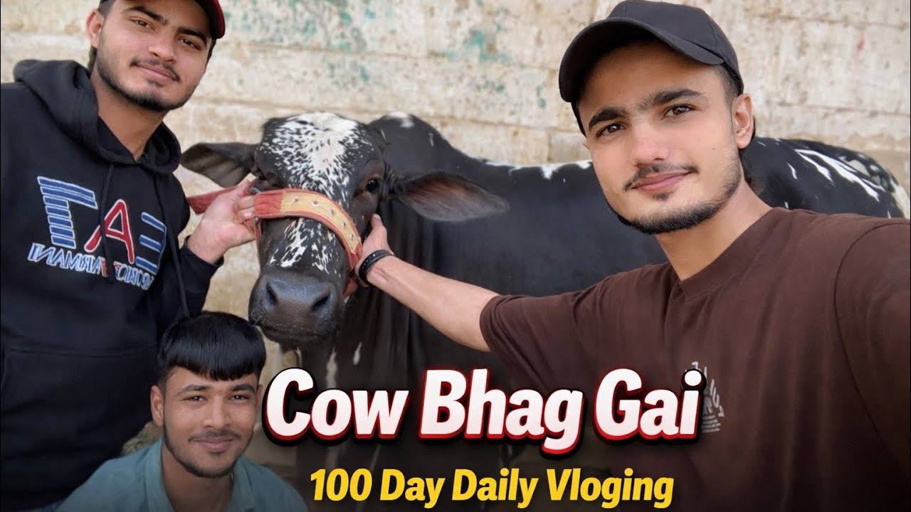 Cow Bhag Gai 😱 | 100 Day Daily Vlogging Day #18 | Funny Village Vlog