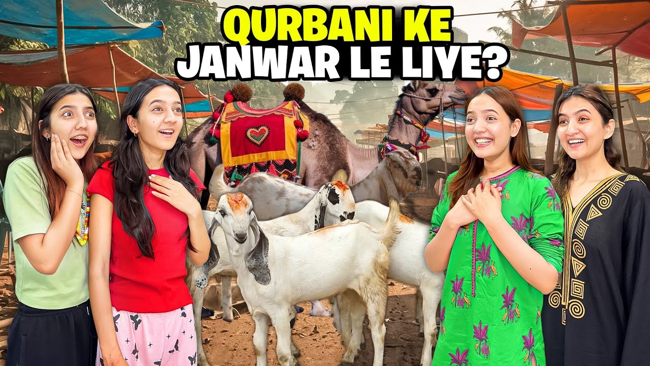Finally Qurbani Ke Liya Janwar Ly Liye?😍🐪| Meny Ghar Chor Dia😡💔|Eid Ka Chand Nazar Agya🥰🌙|Sistrology