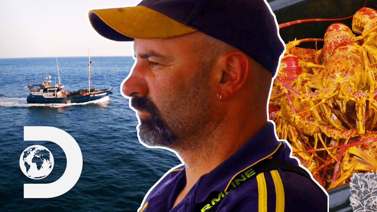 Fisherman on the Edge of Bankruptcy Without a Successful Catch | Aussie Lobster Men