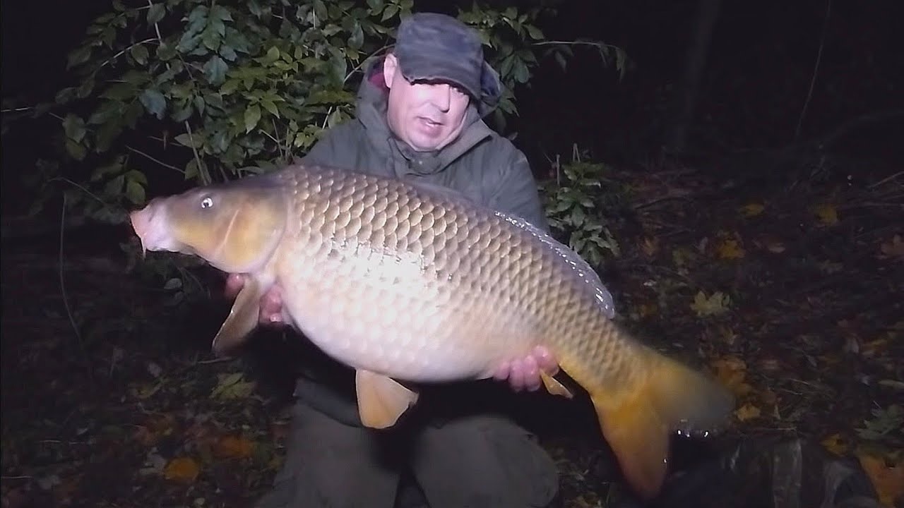 Karpfenangeln - Videotagebuch 11 - Erfolgreiche Herbstsession am  Fluss (mit Unterwasseraufnahmen)
