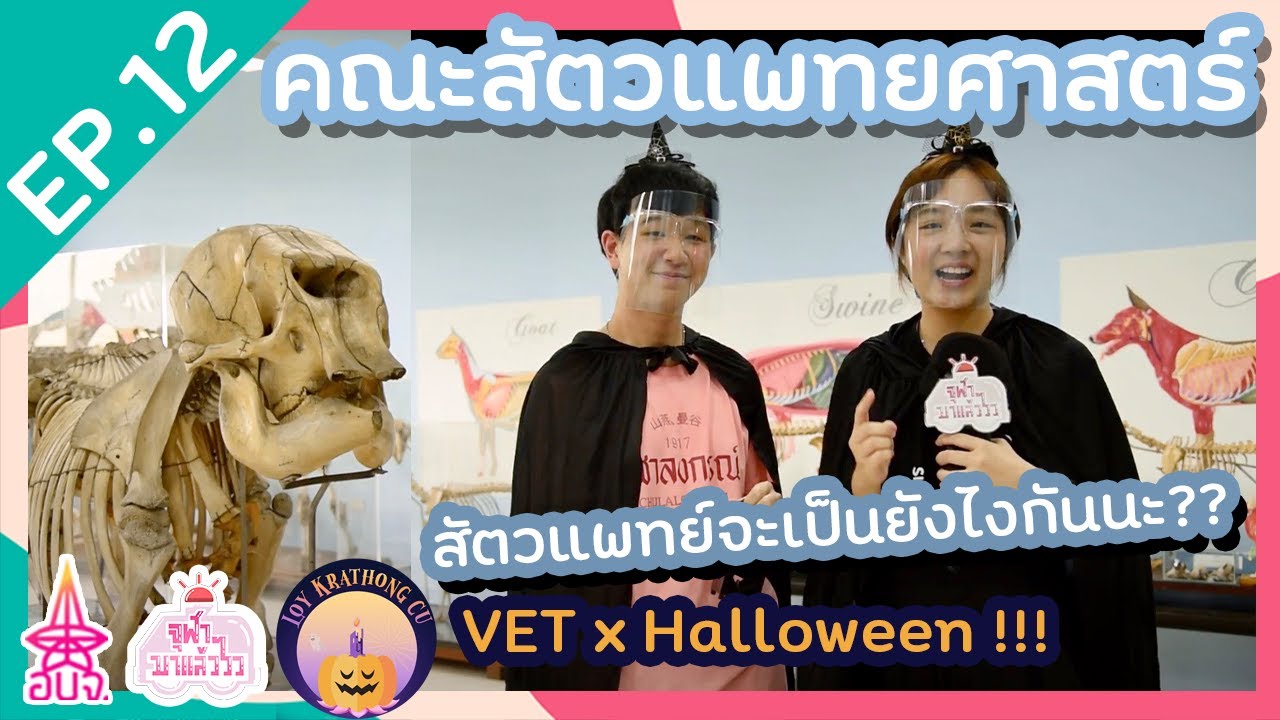 ฮาโลวีนนี้!! ไปสำรวจคณะสัตวแพทยศาสตร์กันน | คณะสัตวแพทยศาสตร์ จุฬาฯ | จุฬาฯ มาแล้ววว EP.12