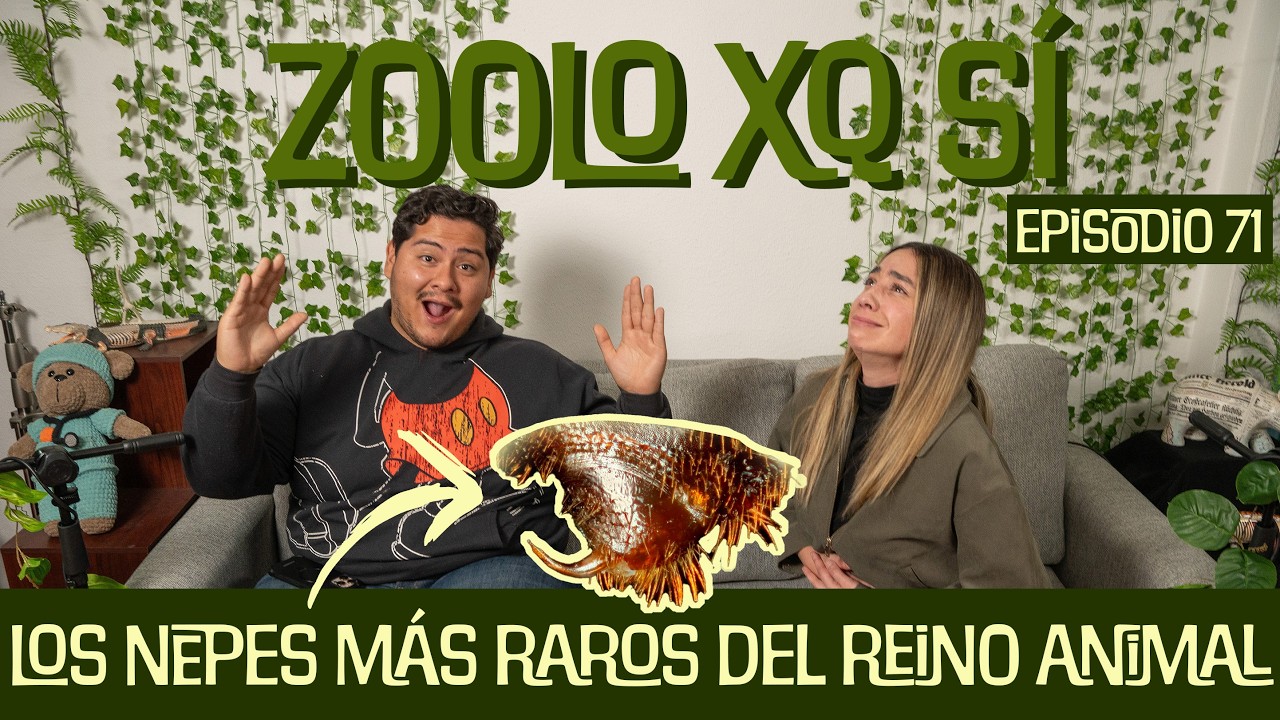Los NEPES más EXTRAÑOS del REINO ANIMAL | Episodio #71 | Zoolo XQ Sí