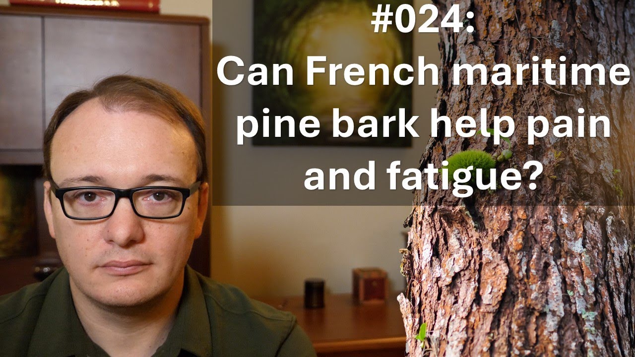 024 - Can French maritime pine bark help pain and fatigue?