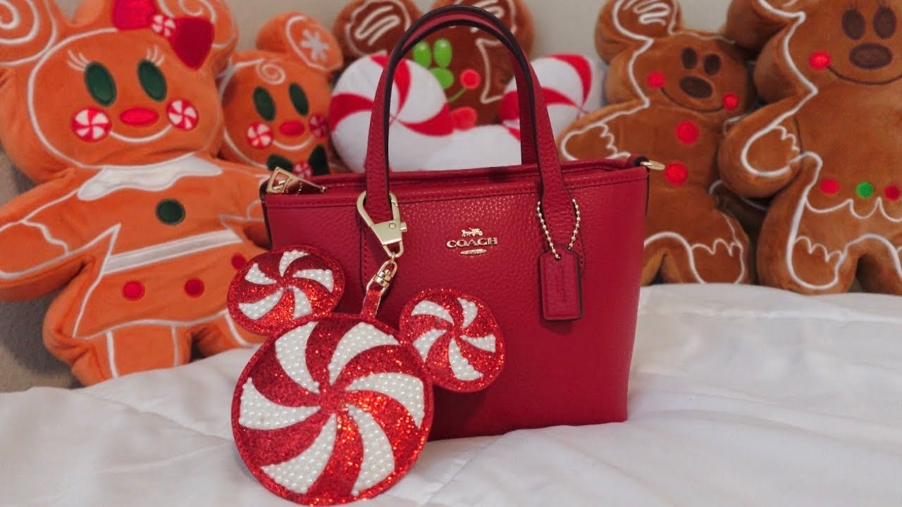 Что в моей сумке 🎄🎁✨🎅🏼 | Мини-сумка Coach City
