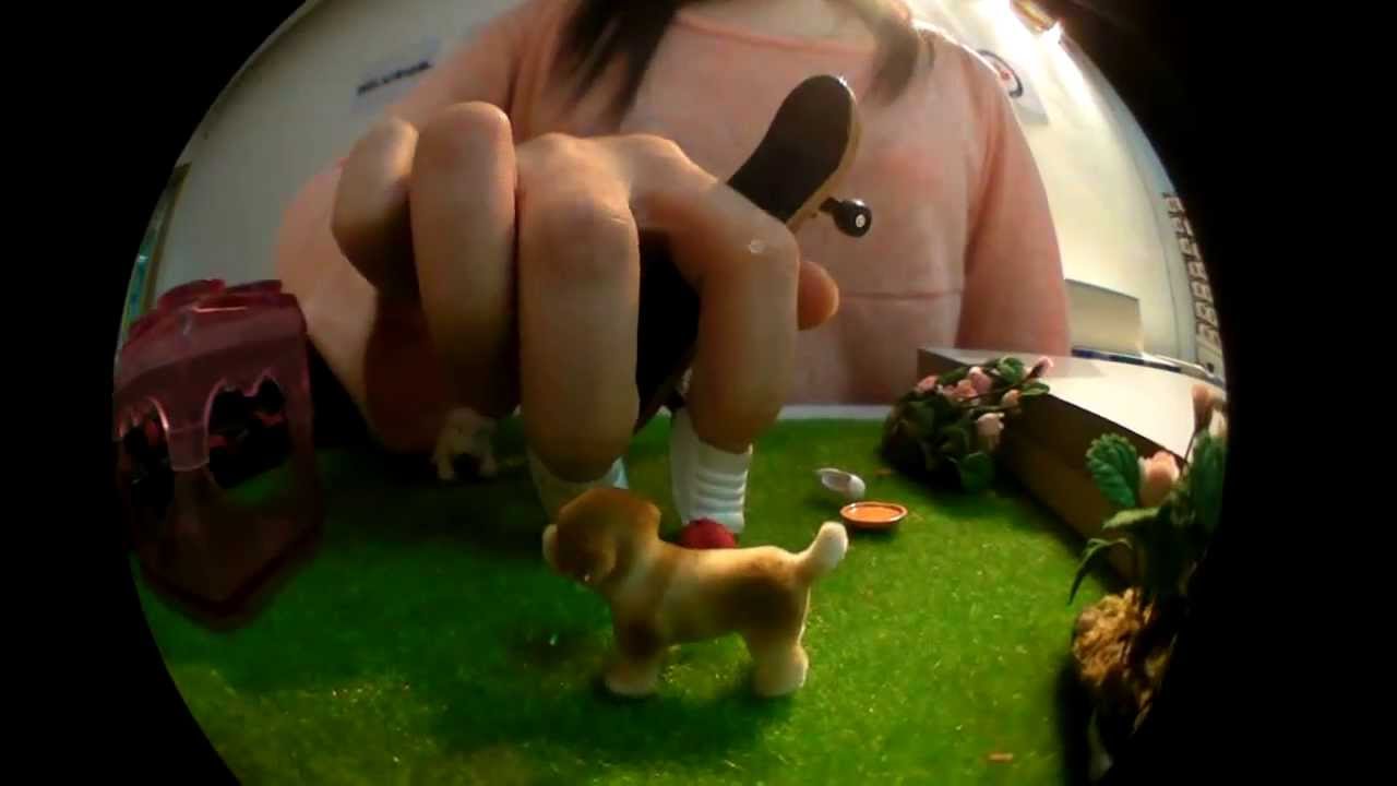 HK Girl Fingerboarder 香港女手指滑板手IRENE  個人影片