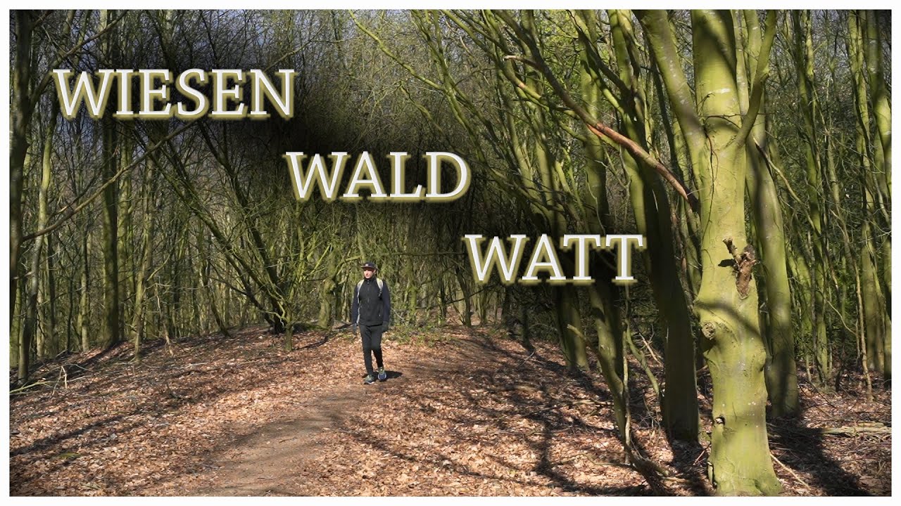 Wiesen - Wald - Watt - Wandern in der Cuxhavener Küstenregion