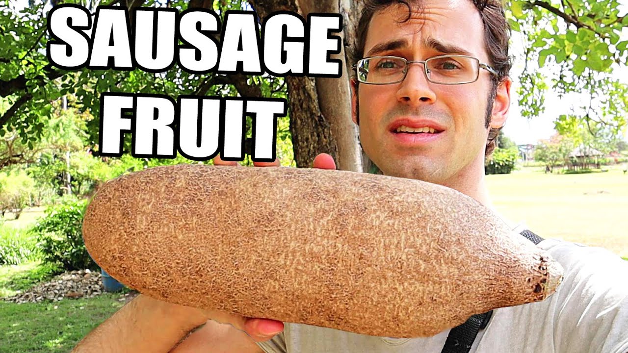 SAUSAGE FRUIT Review : Huge Fruit That Elephants Eat - Weird Fruit Explorer in Jamaica