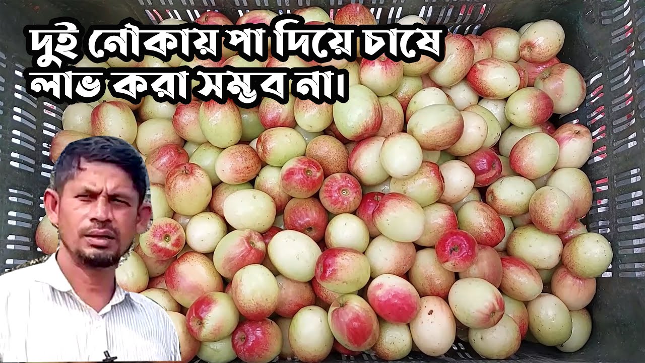 দুই নৌকায় পা দিয়ে চাষে লাভ করা সম্ভব না। কৃষি ভাই।