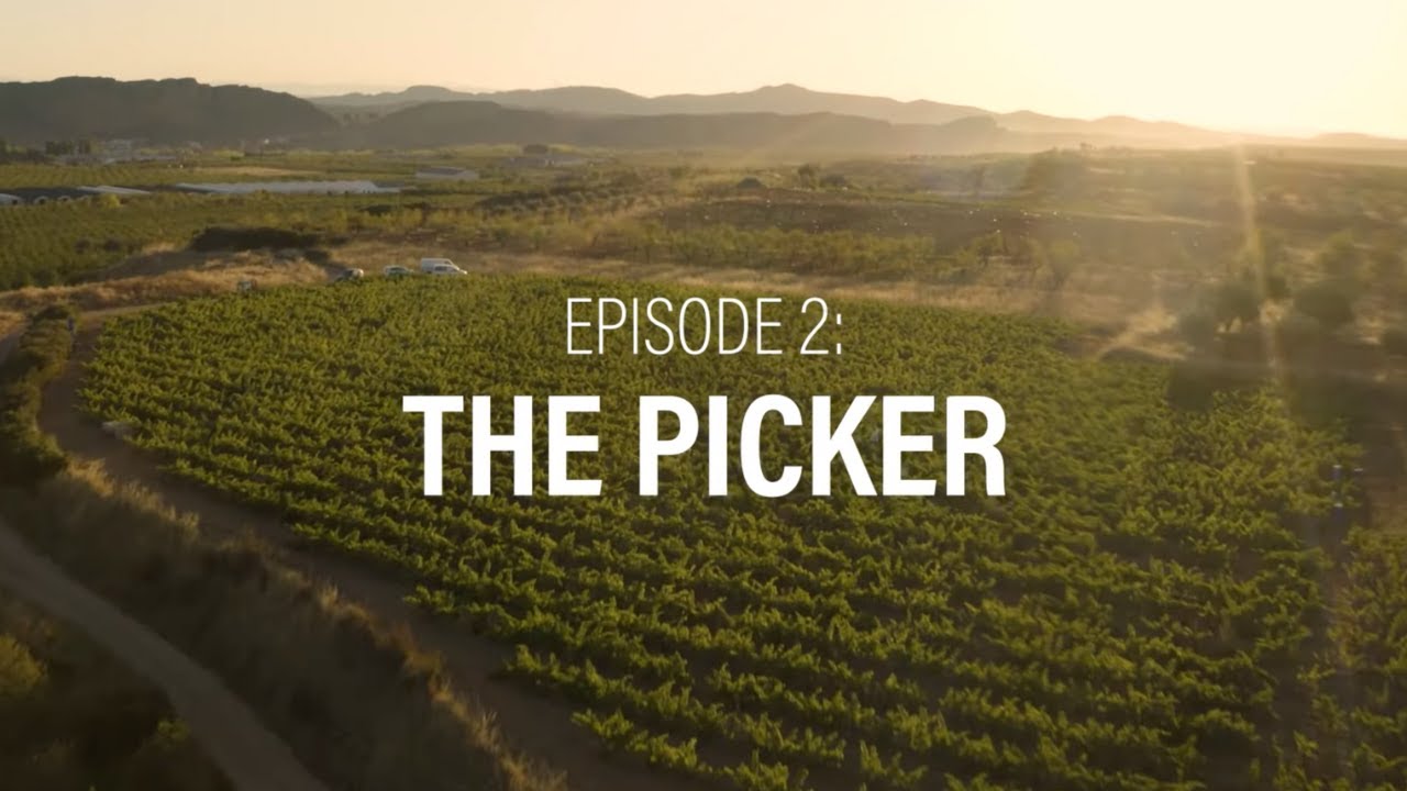Rioja | The Heart of Harvest - Episode 2: The Picker
