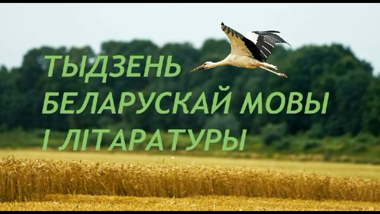 Тыдзень беларускай мовы i лiтаратуры ДЗЯРЖАЎНАЯ ЎСТАНОВА АДУКАЦЫІ