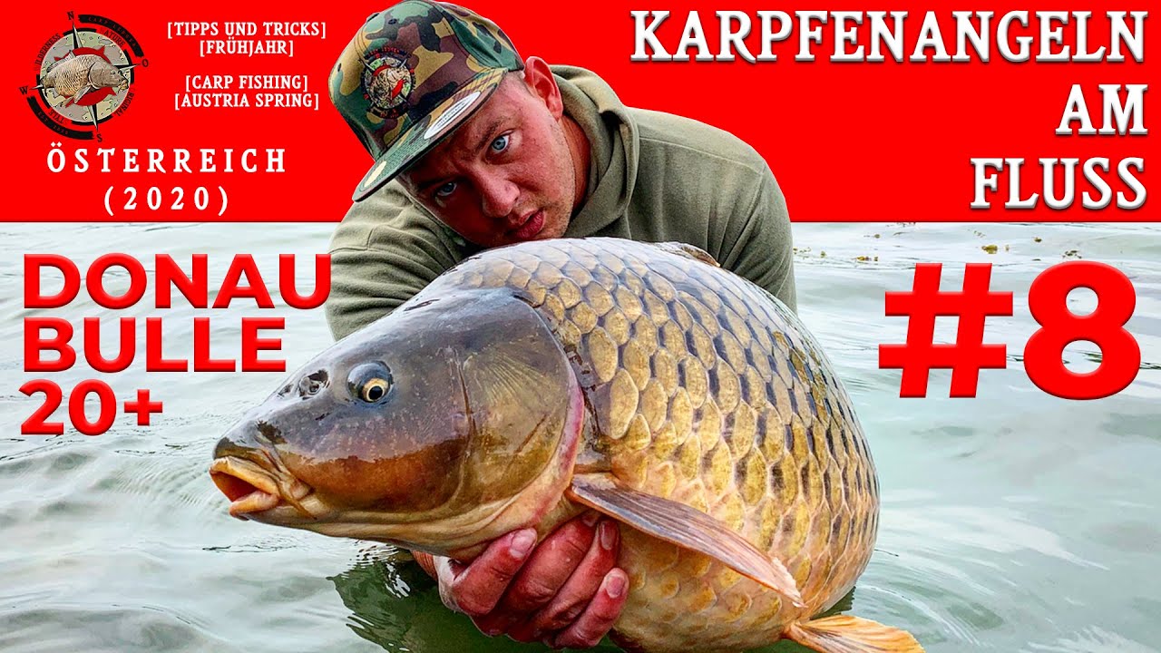 Karpfenangeln am Fluss - river carp fishing austria | tipps,tricks,frühjahr,spring,österreich (2020)