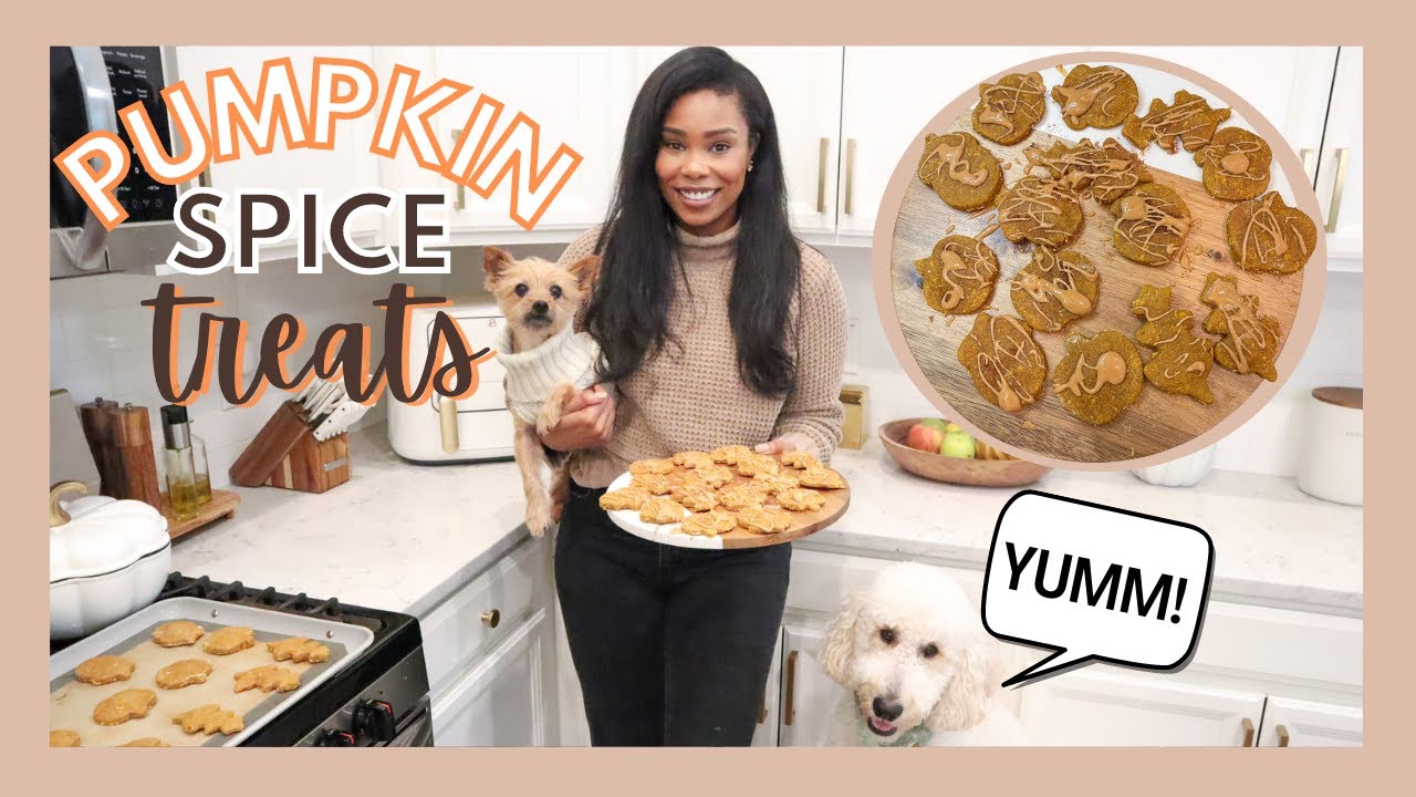 HOMEMADE DOG TREATS | PUMPKIN SPICE DOG TREATS // LoveLexyNicole