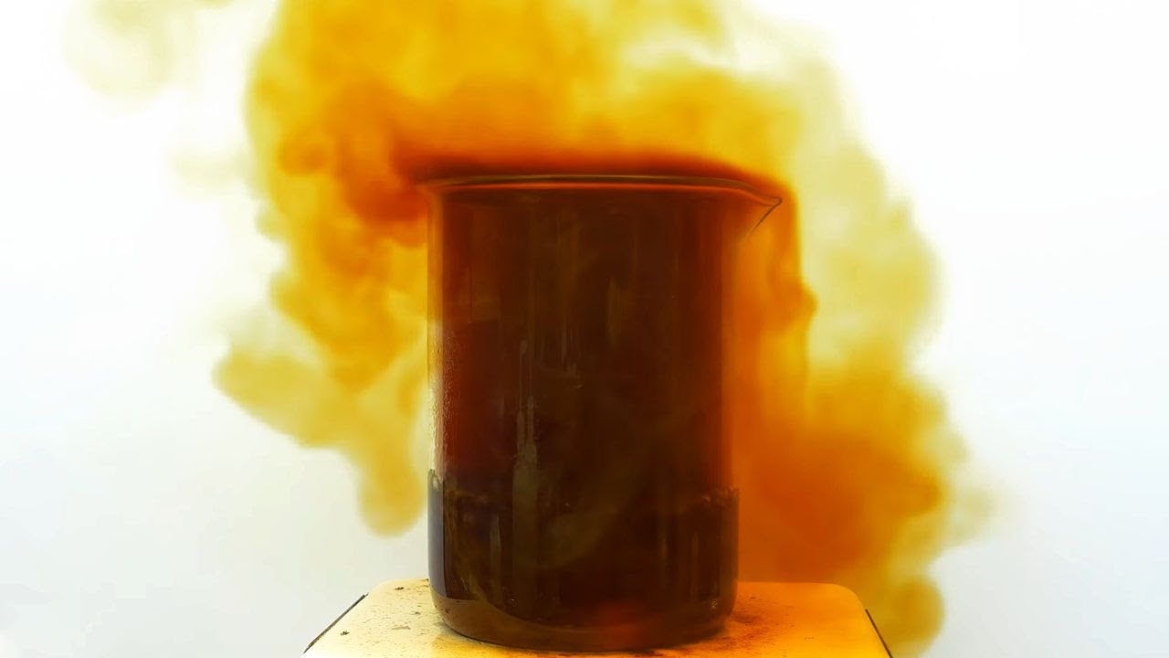 Making oxalic acid from cane sugar