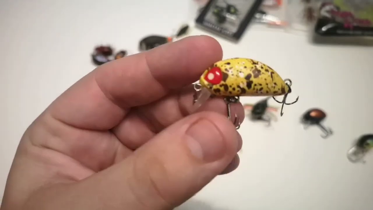 Cele mai bune voblere și insecte pentru pescuitul vara la clean?
